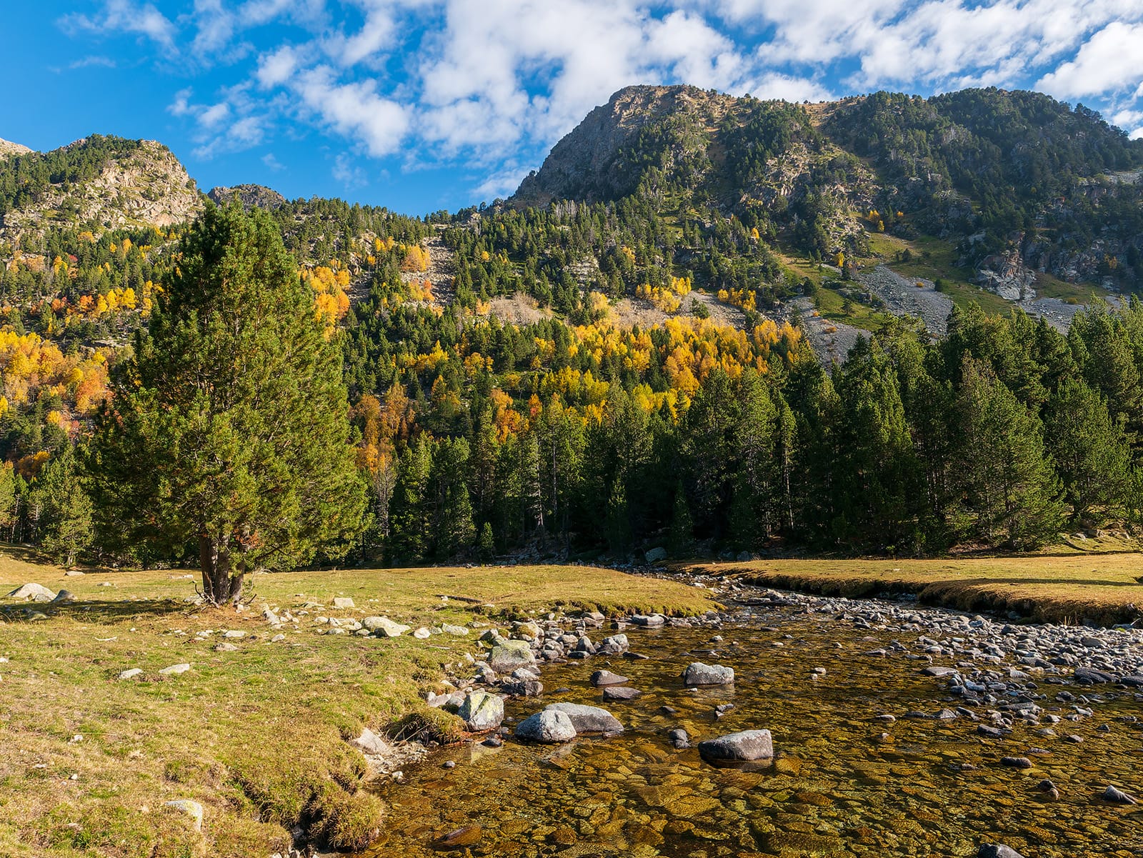 Autumn mountain landscape